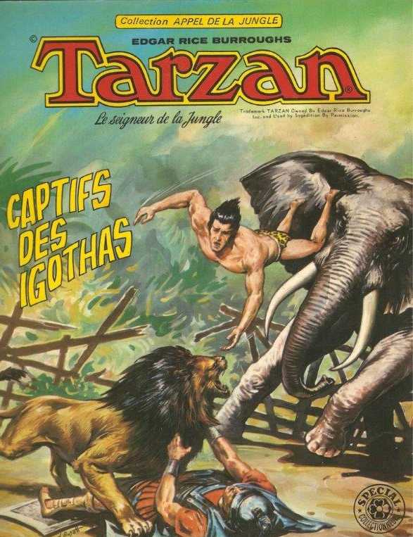 Scan de la Couverture Tarzan Appel de la Jungle n 8